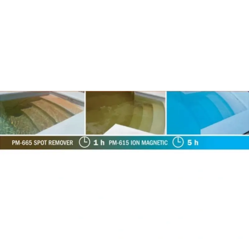 Eliminador de manchas Spot Remover 0.7Kg (PM-665)