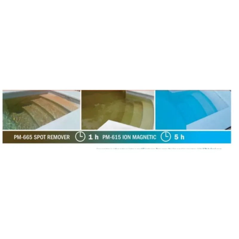 Eliminador de manchas Spot Remover (PM-665)